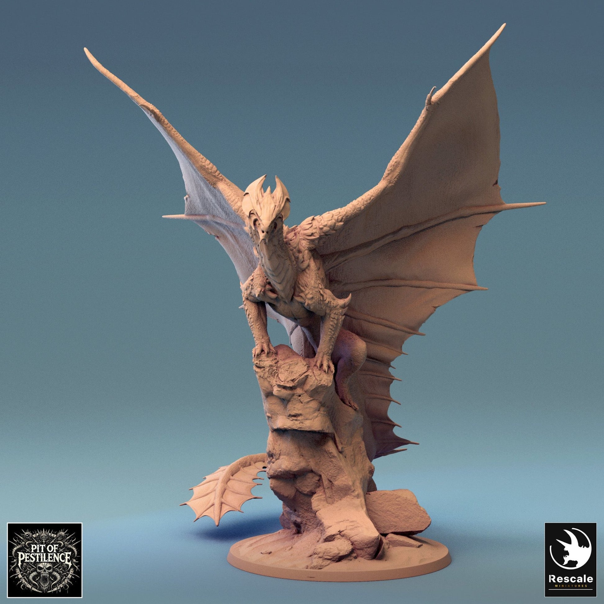 A majestic brass dragon with large, outstretched wings, perched on a rocky outcrop, gazing forward with a regal stance. The dragon's detailed scales and commanding presence make it an impressive figure.