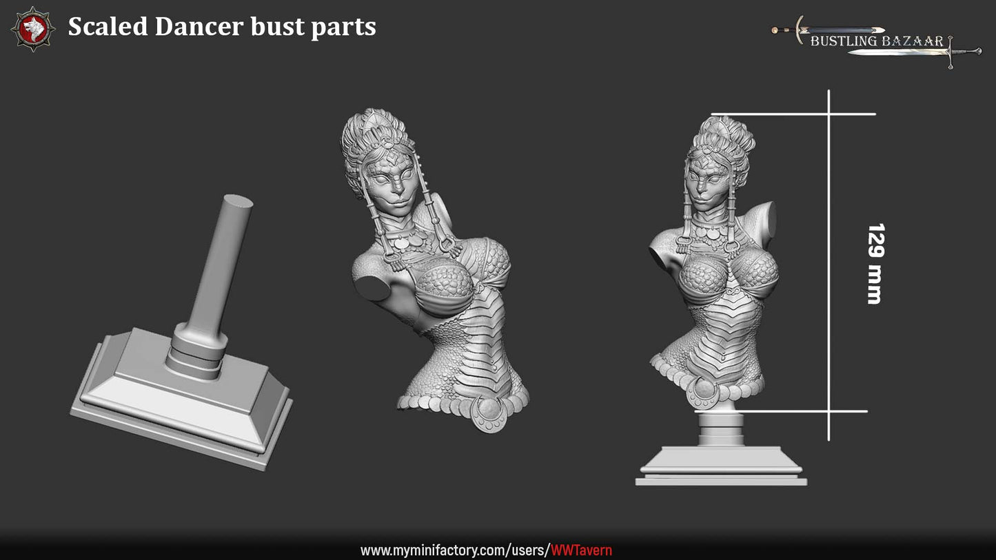 This bust sizing reference shows the Scaled Dancer bust assembled on its display base, illustrating overall height and proportions. Intended to help collectors and painters visualize shelf scale rather than tabletop compatibility.