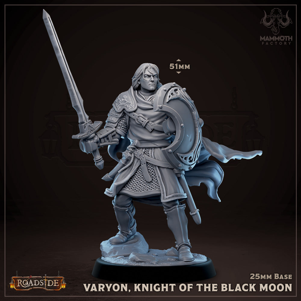 Miniature depicting Varyon, a knight with a shield and sword, standing in a combat-ready pose. His armor is finely detailed, suitable for tabletop fantasy RPGs like Dungeons and Dragons.