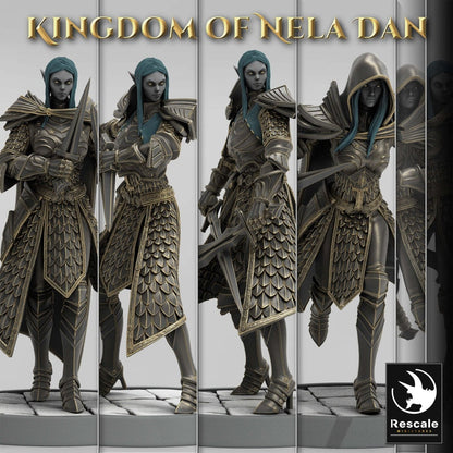 Group shot of various Infantry Elves miniatures, displaying a range of poses and weapon combinations from the Kingdom of Nela Dan.