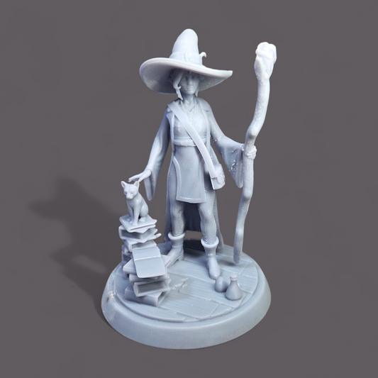 Young Arcanist Girl with Cat - Bust & Full Miniature