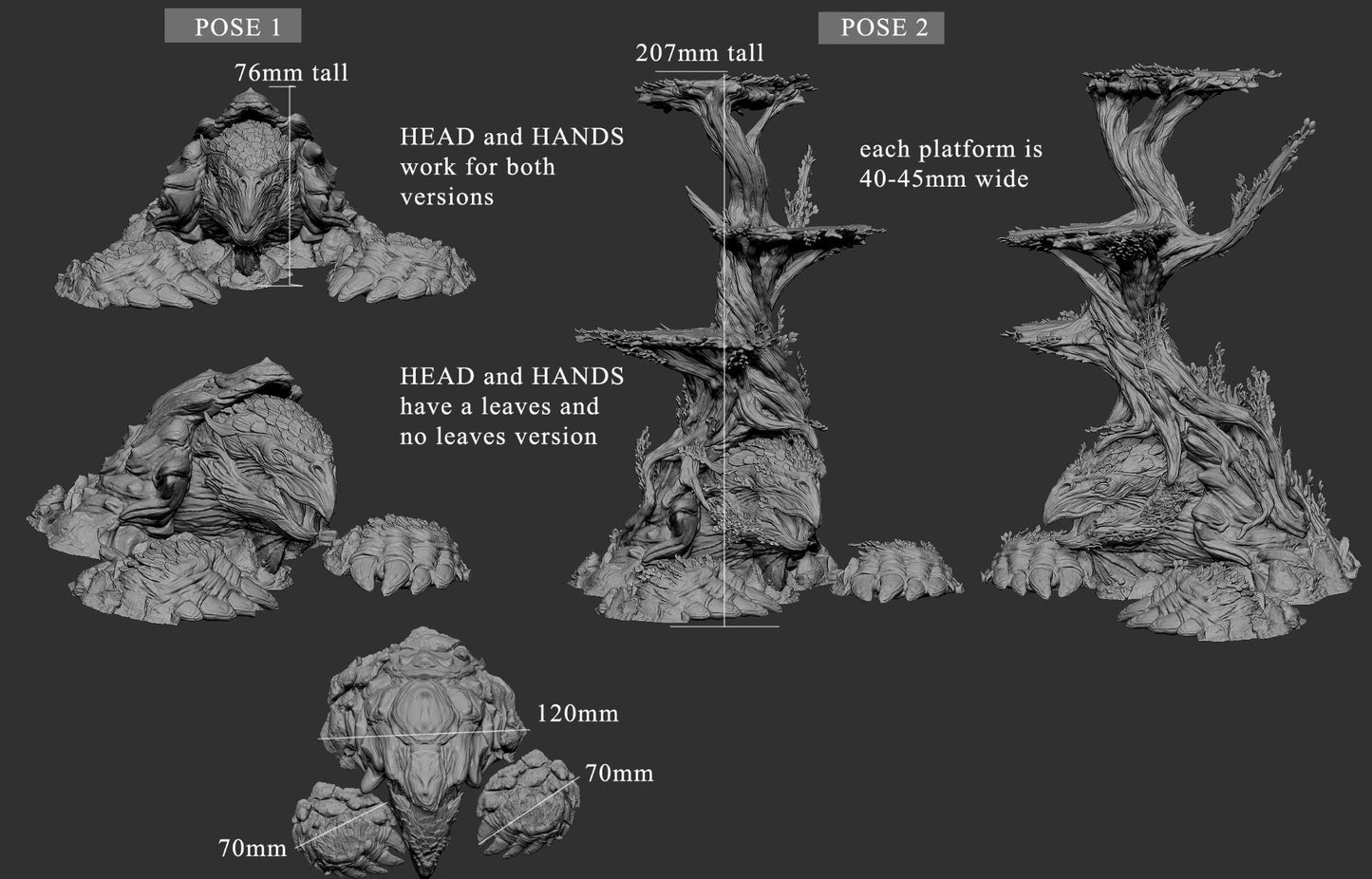 Turtle Outpost