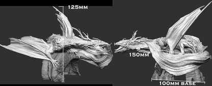 Scale of the Veiled Fungal Dragon